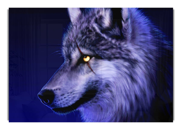 Blue Wolf Eye