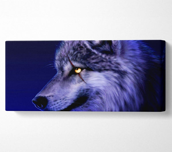 Blue Wolf Eye