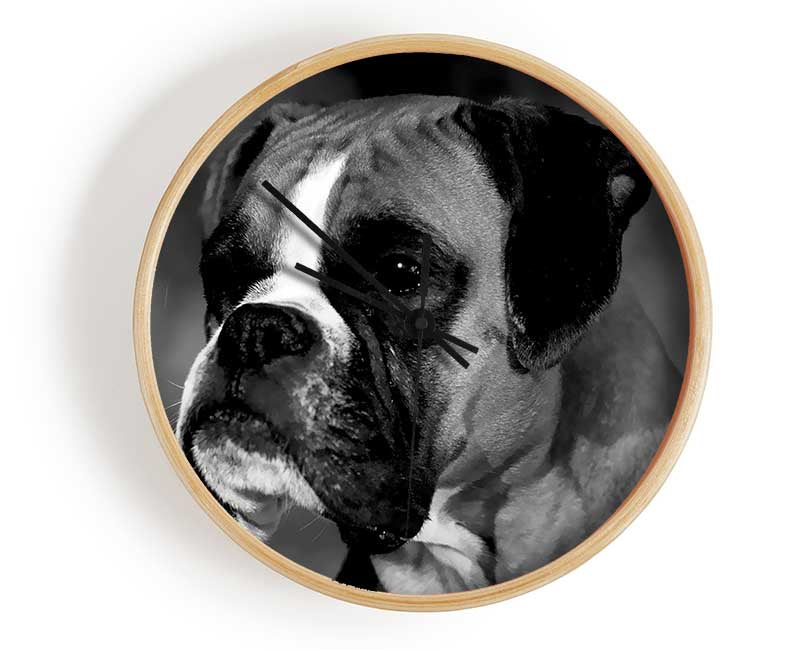 Boxer Beauty Clock - Wallart-Direct UK