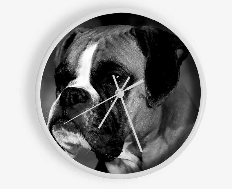 Boxer Beauty Clock - Wallart-Direct UK