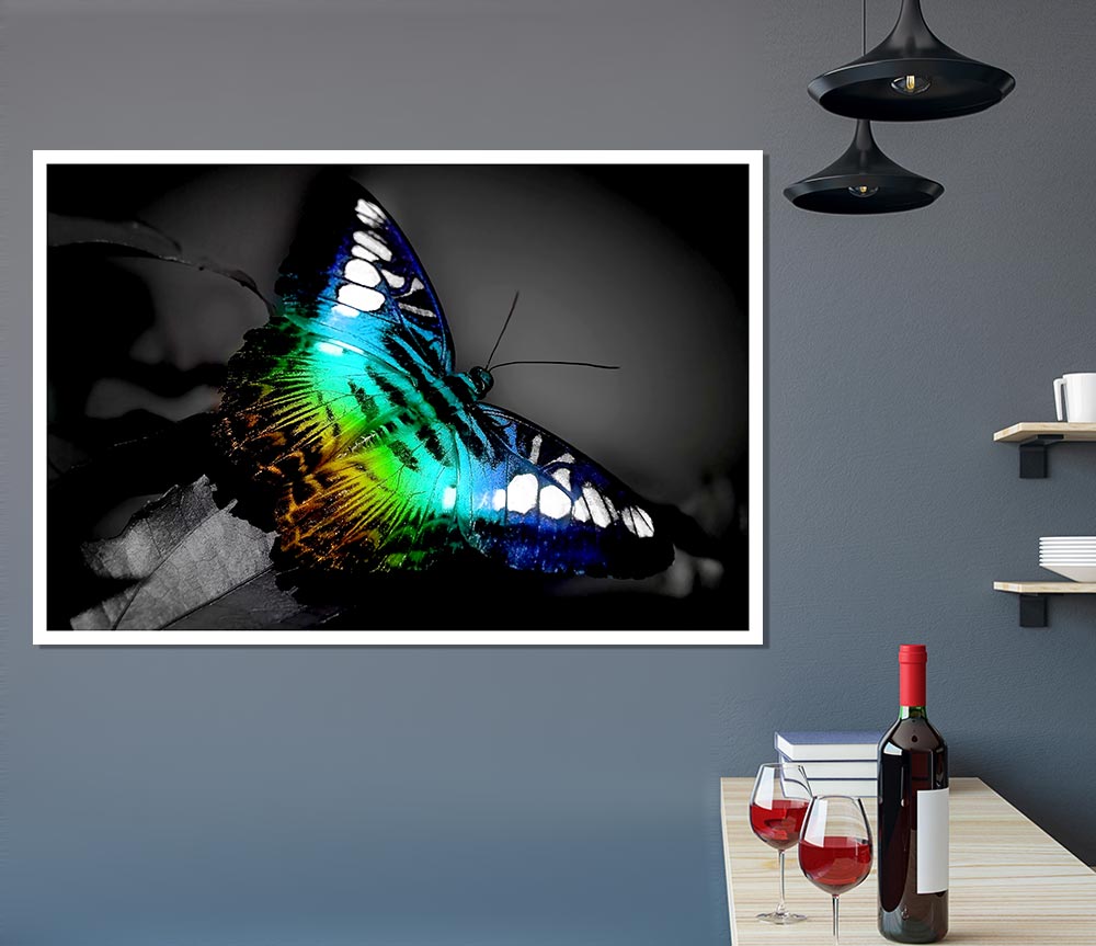 Bright Butterfly Print Poster Wall Art