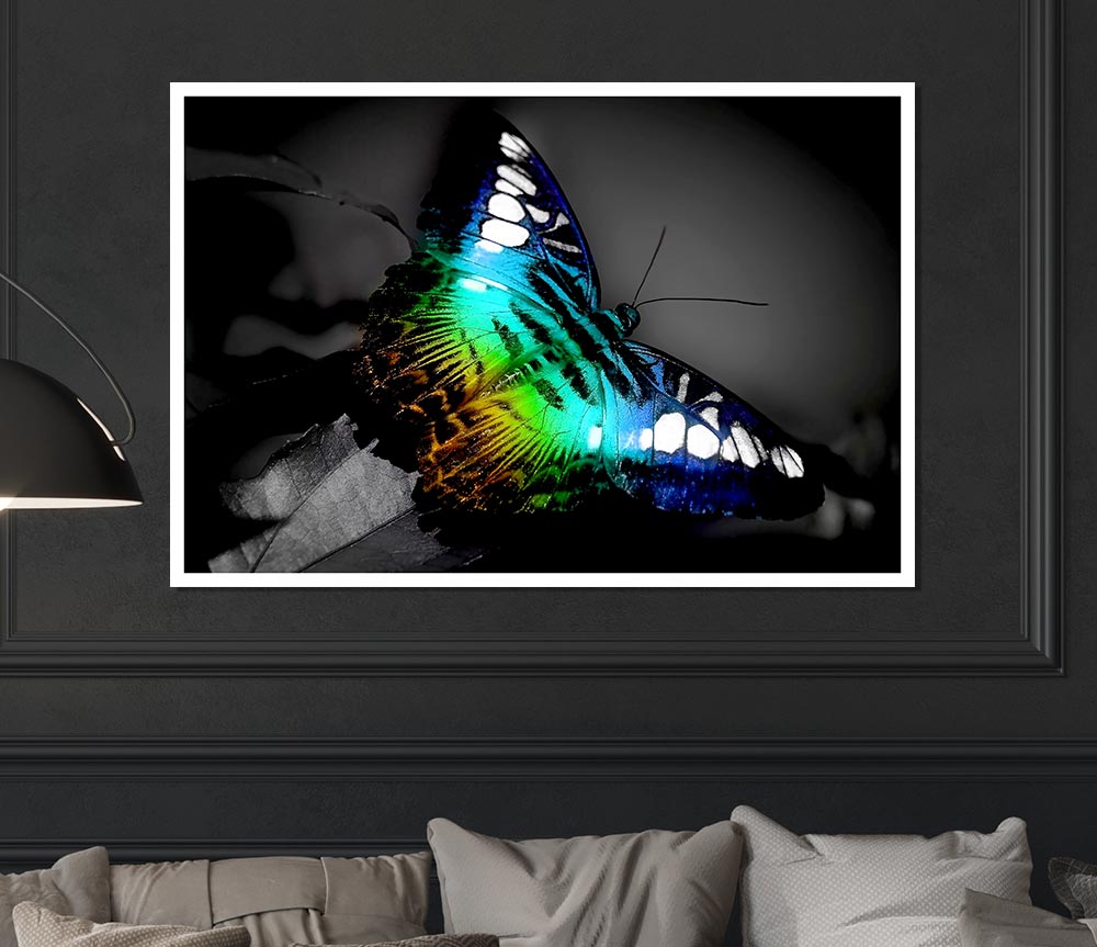 Bright Butterfly Print Poster Wall Art