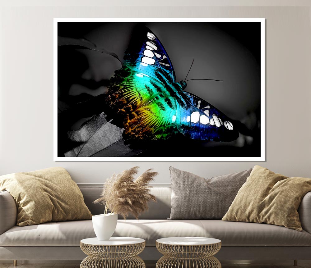 Bright Butterfly Print Poster Wall Art