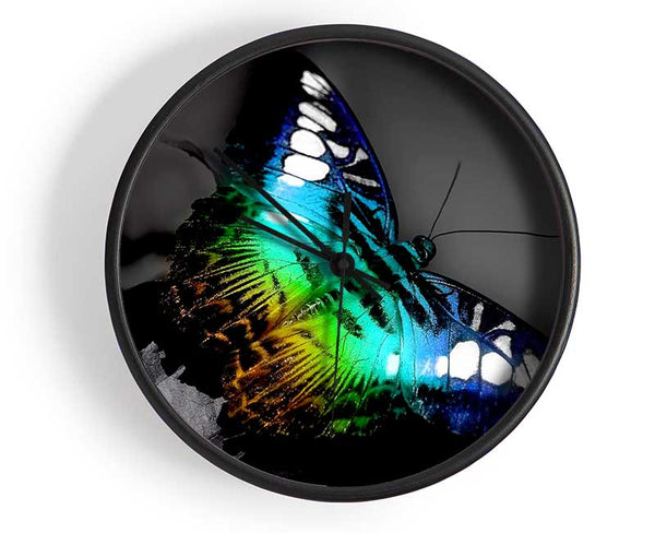 Bright Butterfly Clock - Wallart-Direct UK