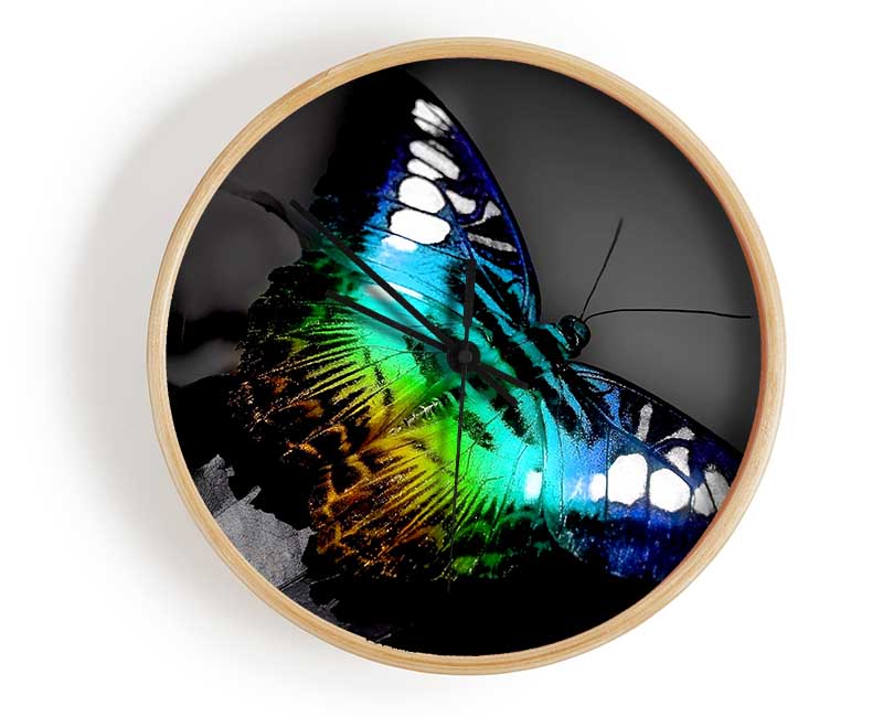 Bright Butterfly Clock - Wallart-Direct UK