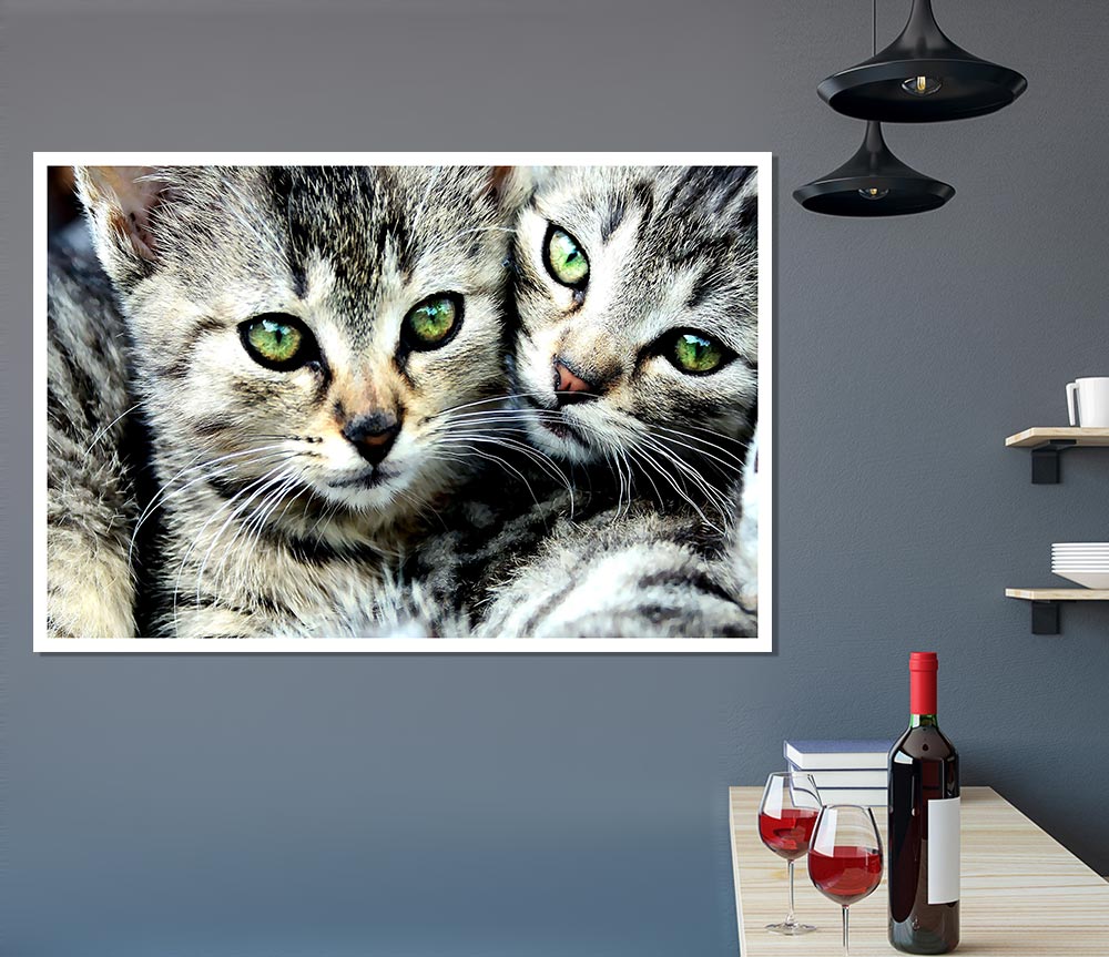 Cat Brothers Print Poster Wall Art