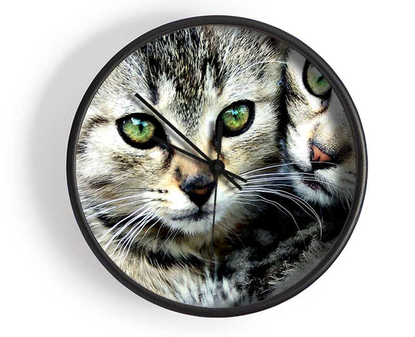 Cat Brothers Clock - Wallart-Direct UK