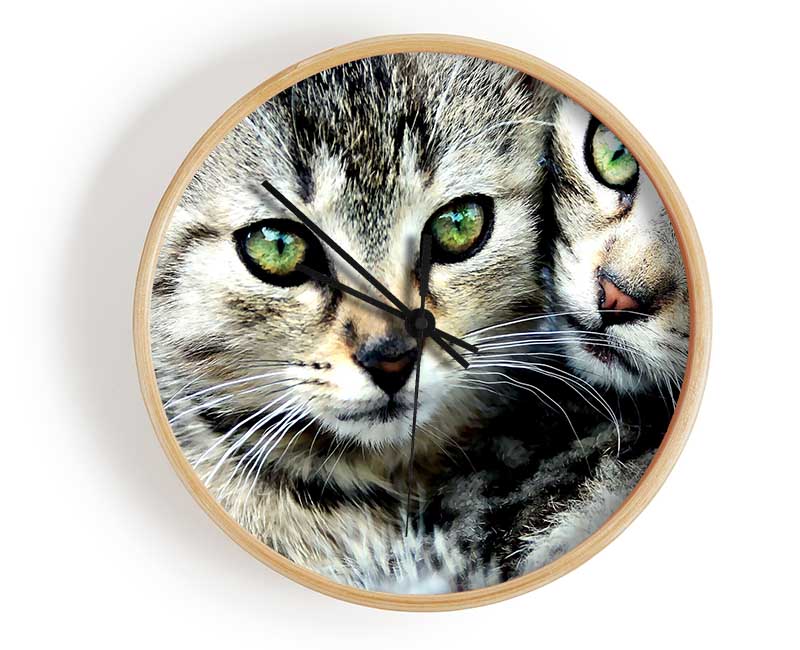 Cat Brothers Clock - Wallart-Direct UK