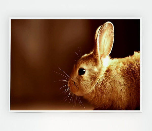 Bunny Whiskers Print Poster Wall Art