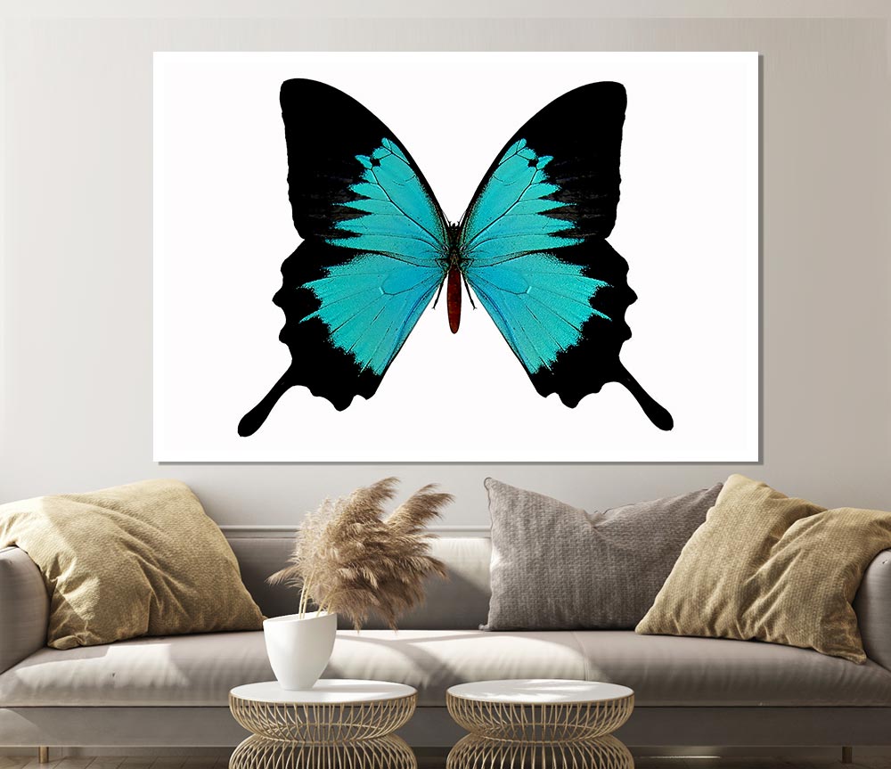 Butterfly Beauty Print Poster Wall Art