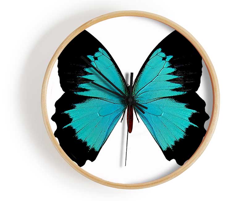 Butterfly Beauty Clock - Wallart-Direct UK