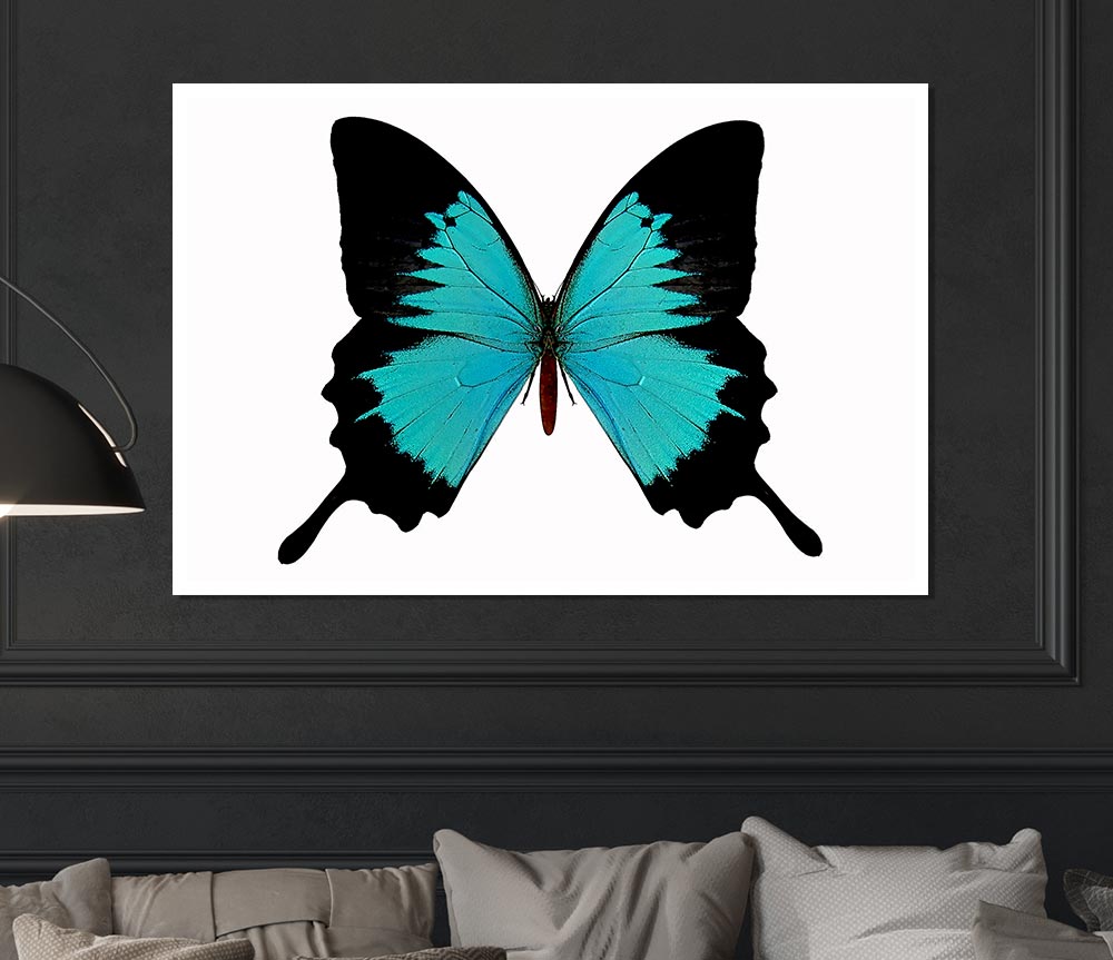 Butterfly Beauty Print Poster Wall Art