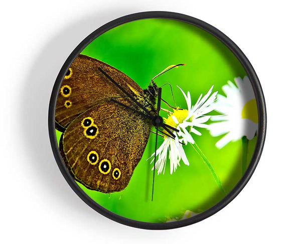 Butterfly Close Up Clock - Wallart-Direct UK