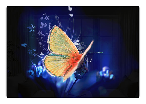 Butterfly Flutter