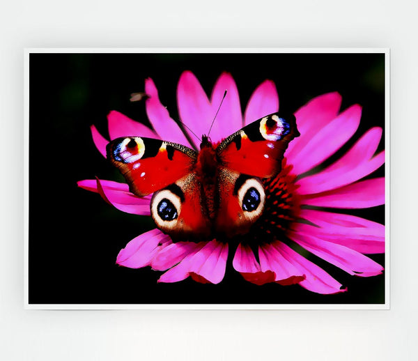 Butterfly Infusion Print Poster Wall Art