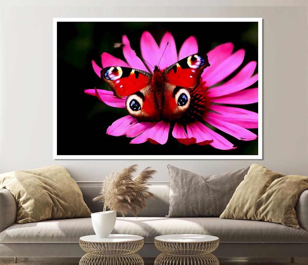 Butterfly Infusion Print Poster Wall Art