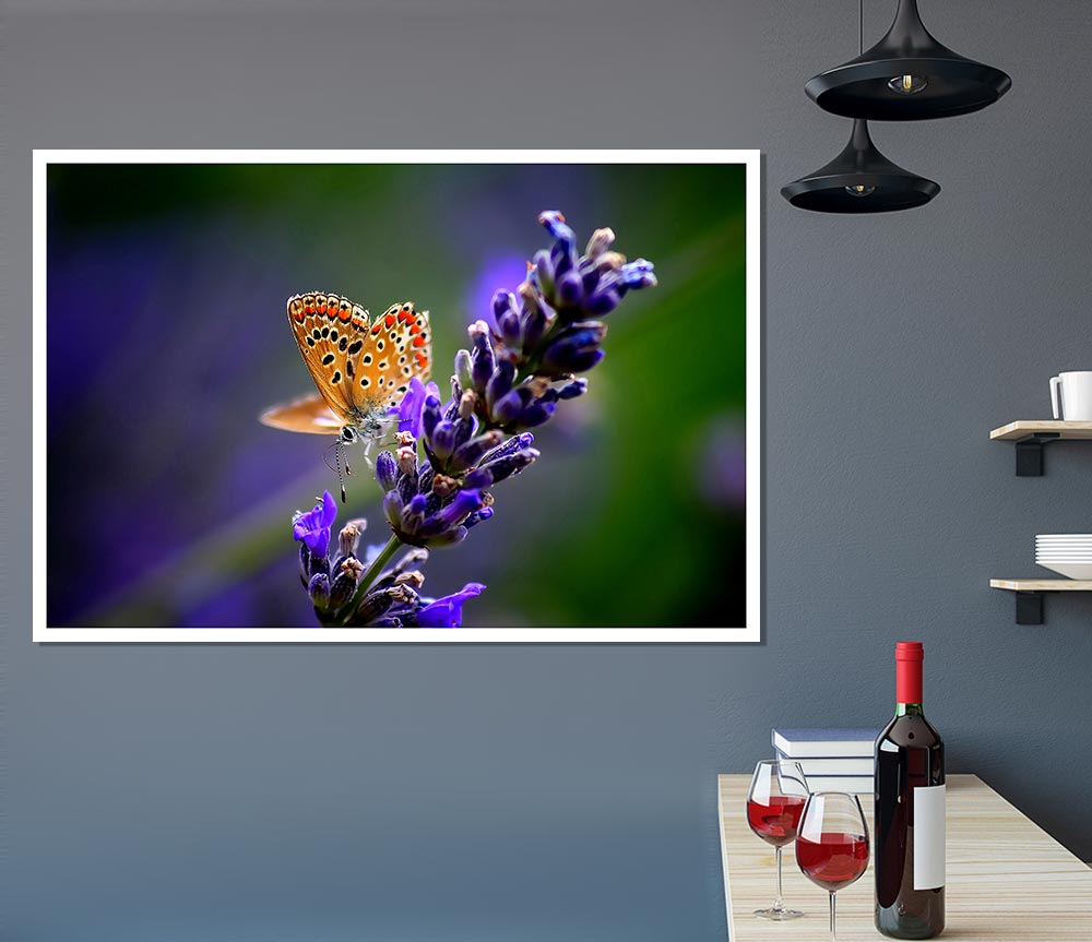 Butterfly On Lavender Flower Print Poster Wall Art