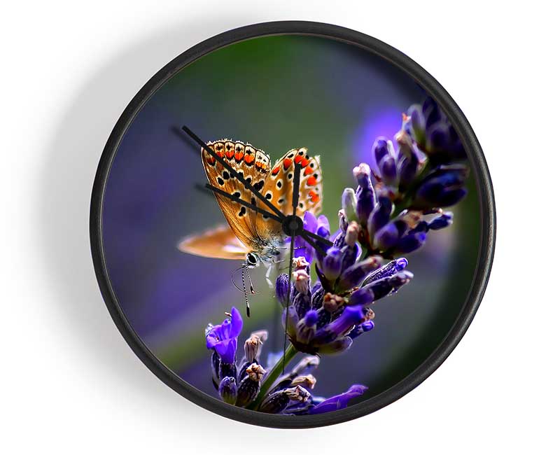 Butterfly On Lavender Flower Clock - Wallart-Direct UK