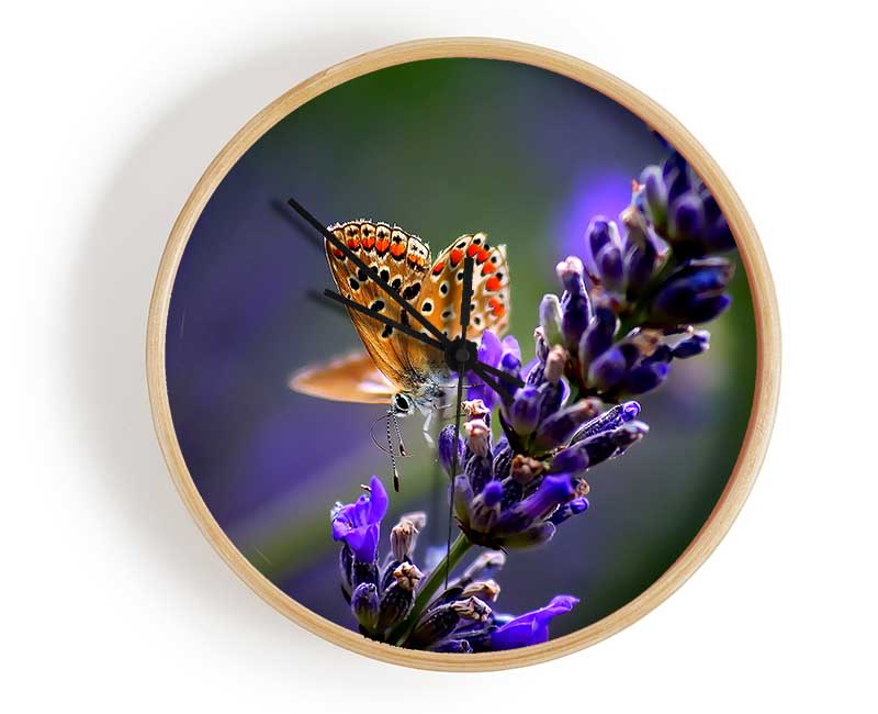 Butterfly On Lavender Flower Clock - Wallart-Direct UK