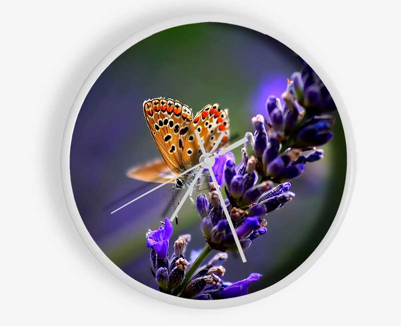 Butterfly On Lavender Flower Clock - Wallart-Direct UK