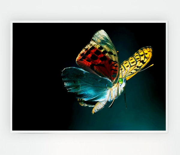 Butterfly Rainbow Print Poster Wall Art