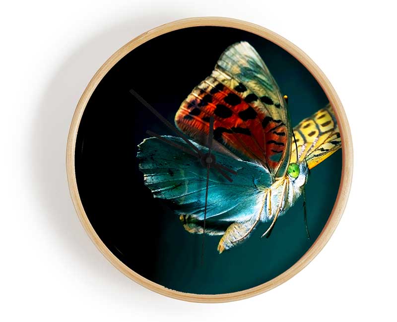 Butterfly Rainbow Clock - Wallart-Direct UK