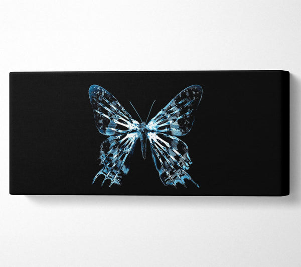 Butterfly X Ray