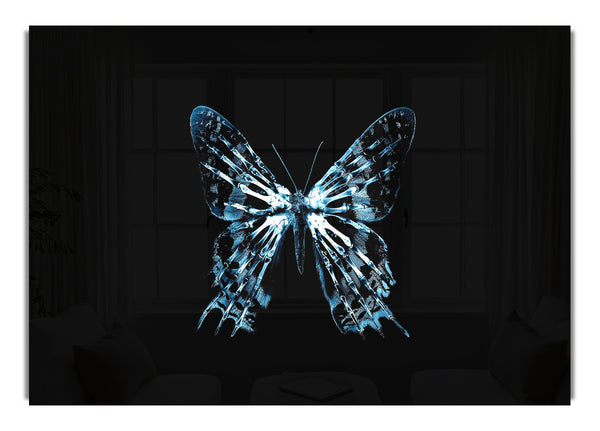 Butterfly X Ray