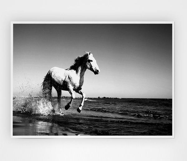 Camargue White Horse Print Poster Wall Art