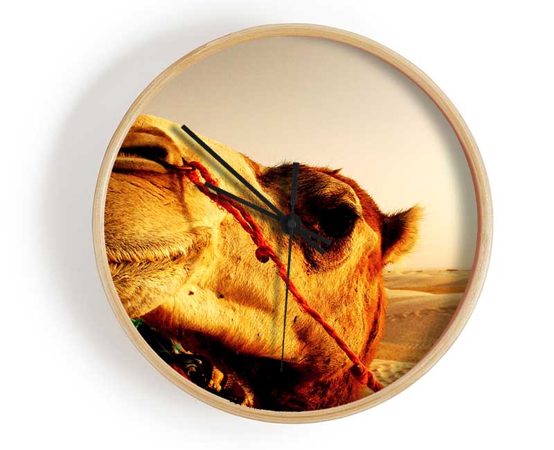 Camel Smile Clock - Wallart-Direct UK