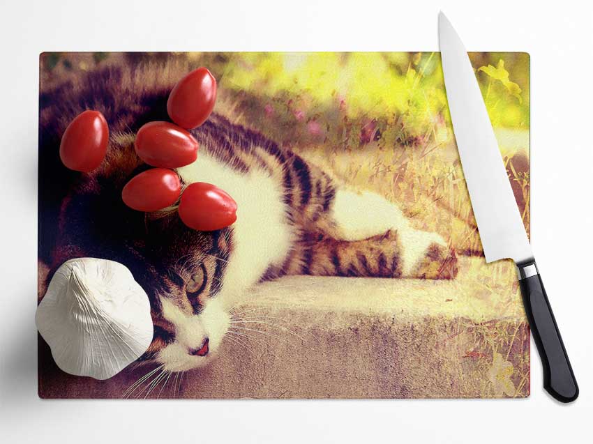 Cat Stillness Glass Chopping Board