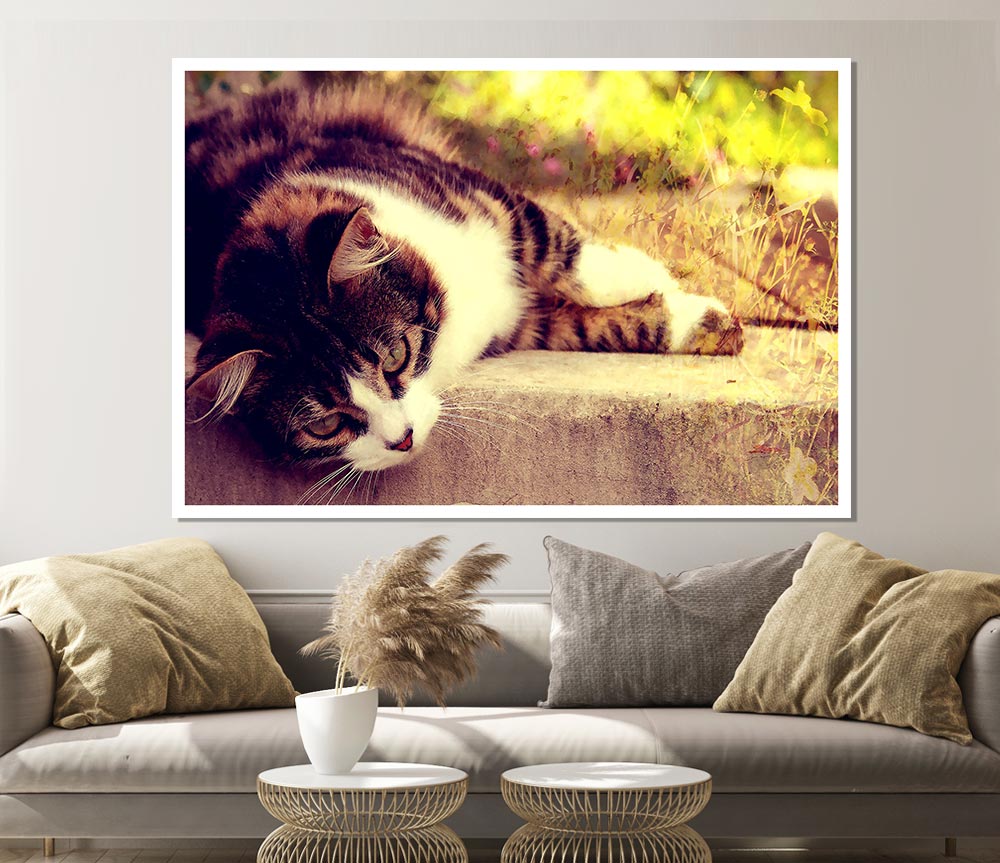 Cat Stillness Print Poster Wall Art