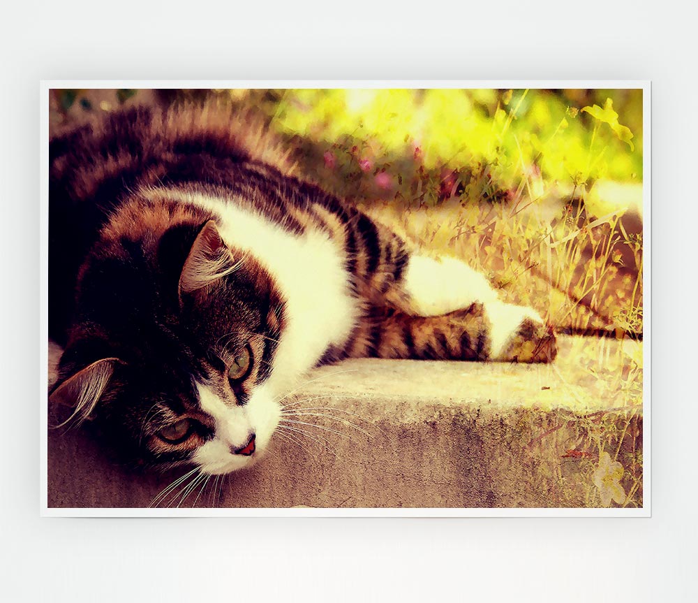 Cat Stillness Print Poster Wall Art