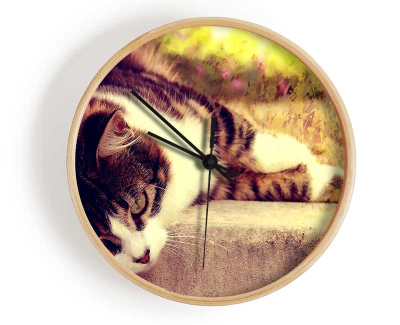 Cat Stillness Clock - Wallart-Direct UK