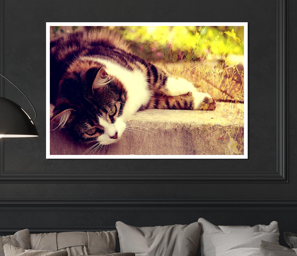 Cat Stillness Print Poster Wall Art