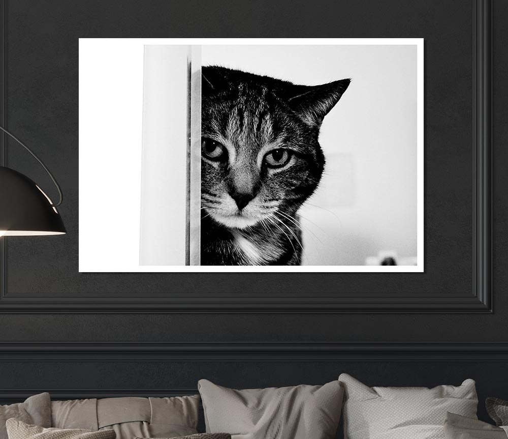 Cat Beauty Print Poster Wall Art