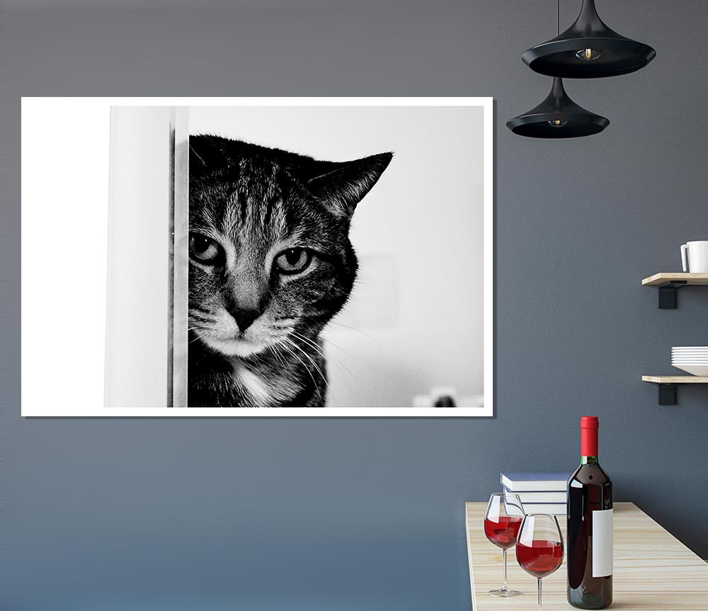 Cat Beauty Print Poster Wall Art