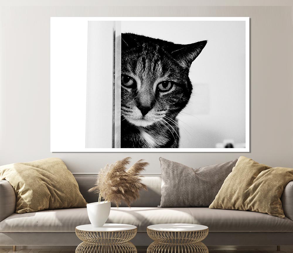 Cat Beauty Print Poster Wall Art