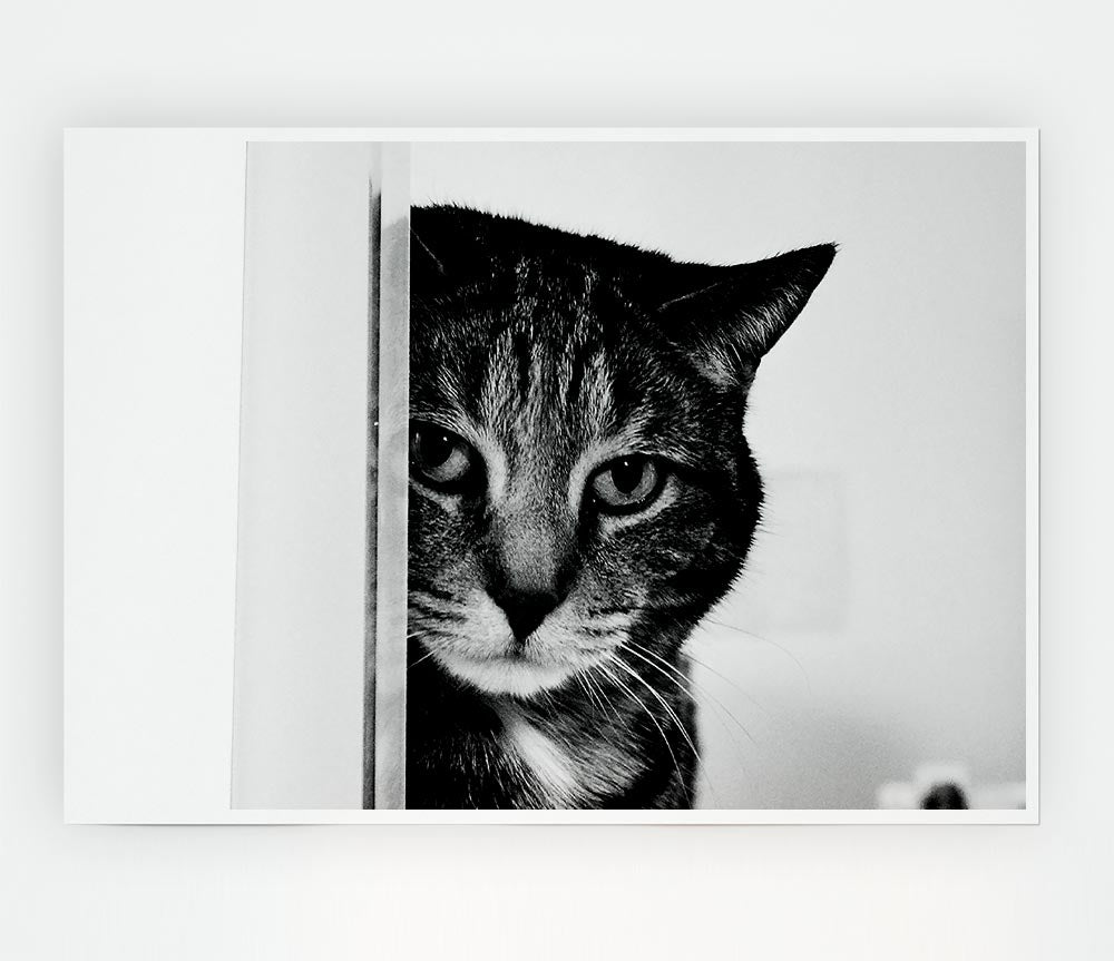 Cat Beauty Print Poster Wall Art