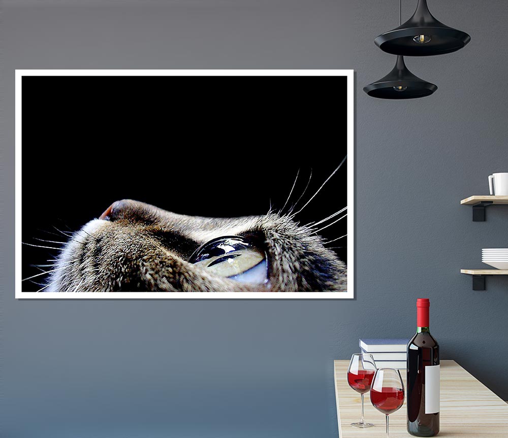 Cat Eyes Print Poster Wall Art