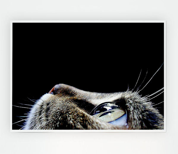 Cat Eyes Print Poster Wall Art