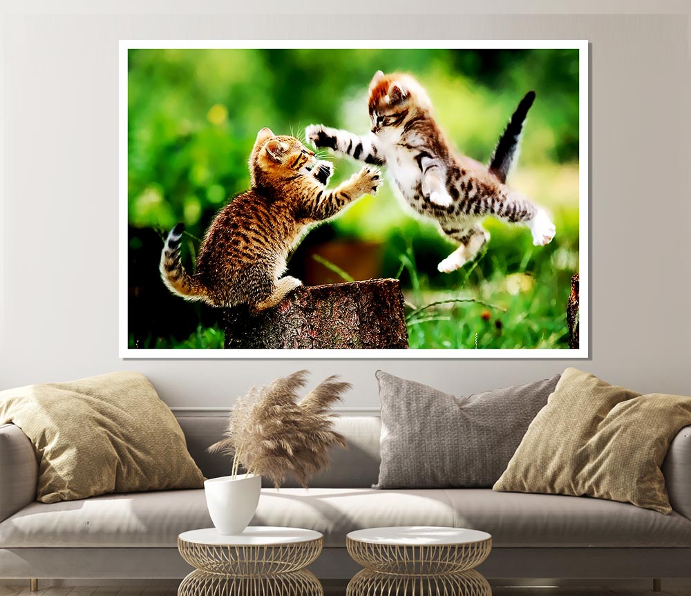 Cat Fight Print Poster Wall Art