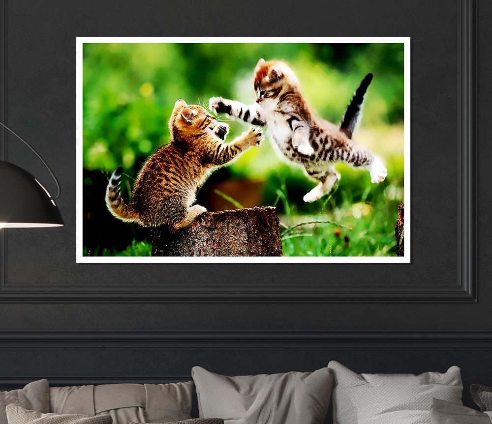 Cat Fight Print Poster Wall Art