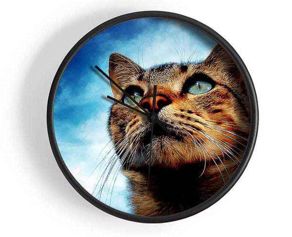 Cat Hunting Clock - Wallart-Direct UK