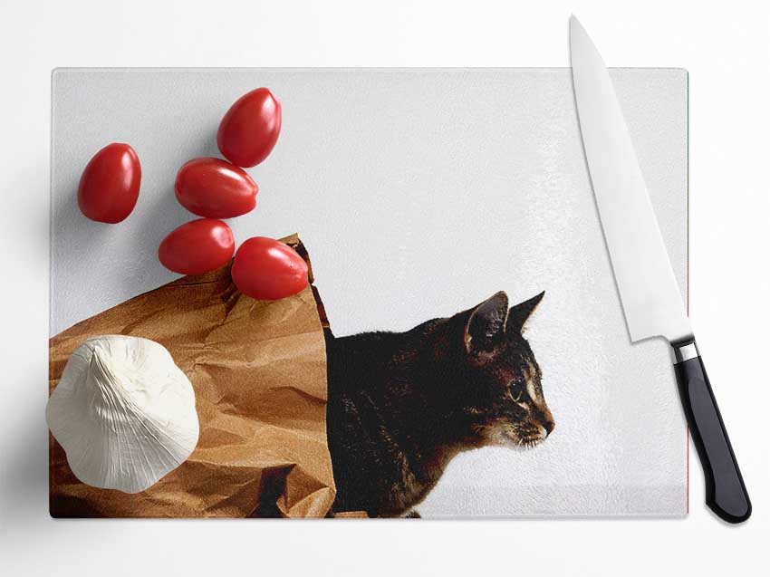 Cat In A Bag Glass Chopping Board