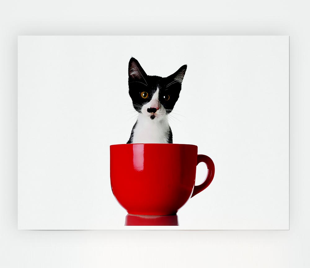 Cat In A Tea Cup Print Poster Wall Art