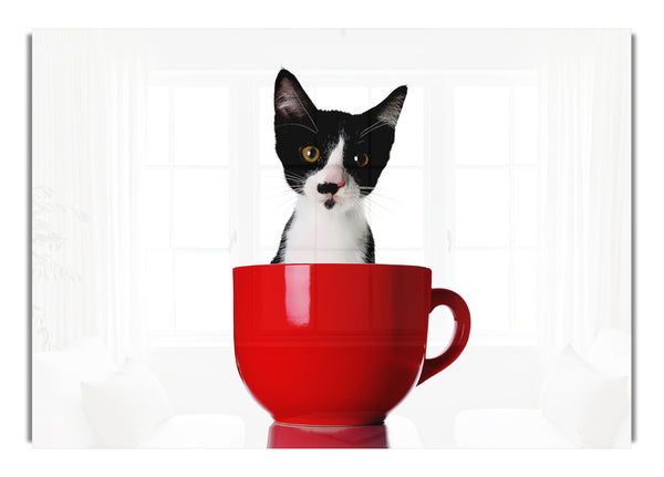 Cat In A Tea Cup