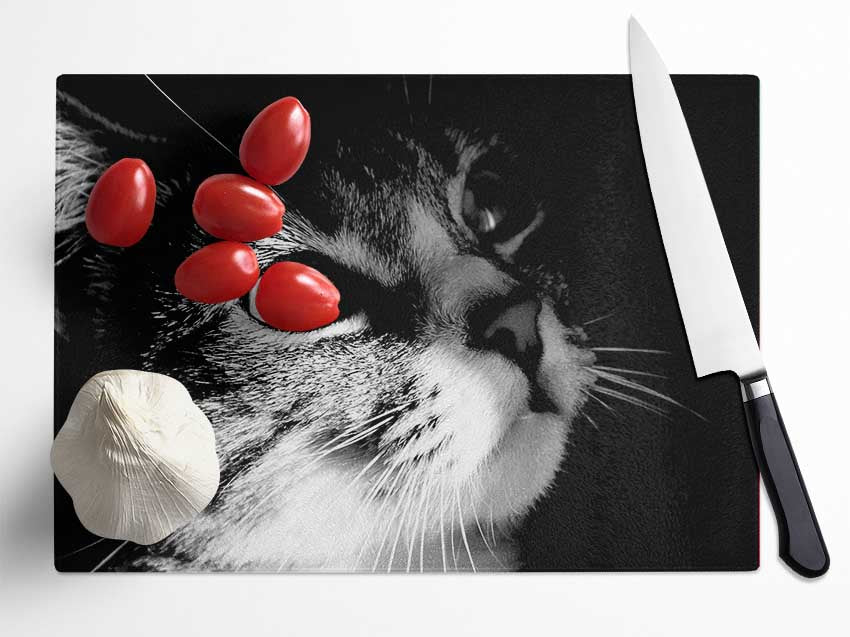 Cat Love Glass Chopping Board