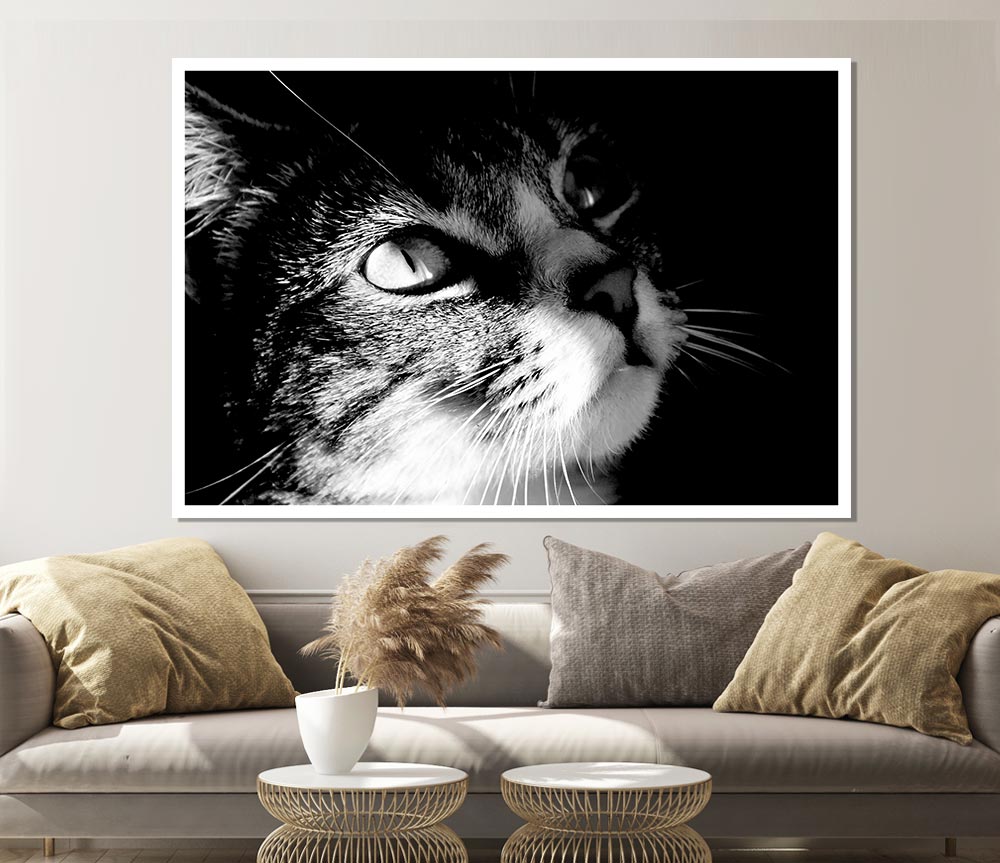 Cat Love Print Poster Wall Art