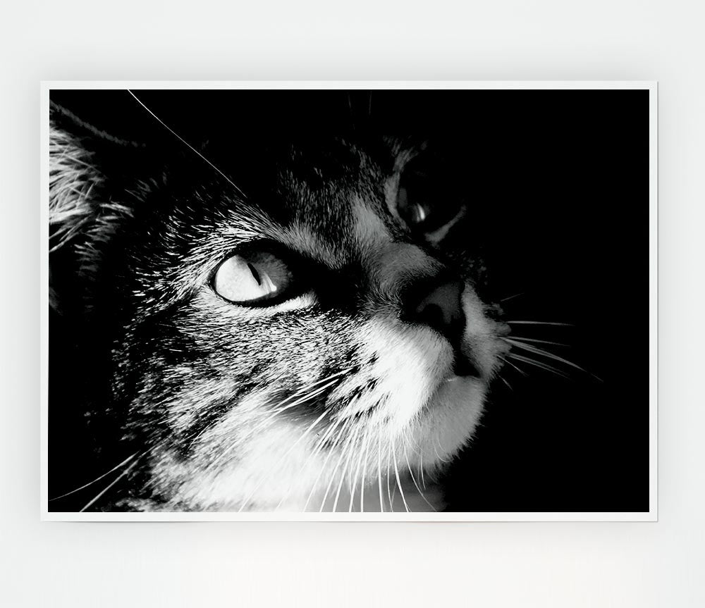 Cat Love Print Poster Wall Art